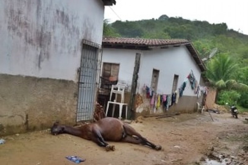 Foto: Giro de Noticias