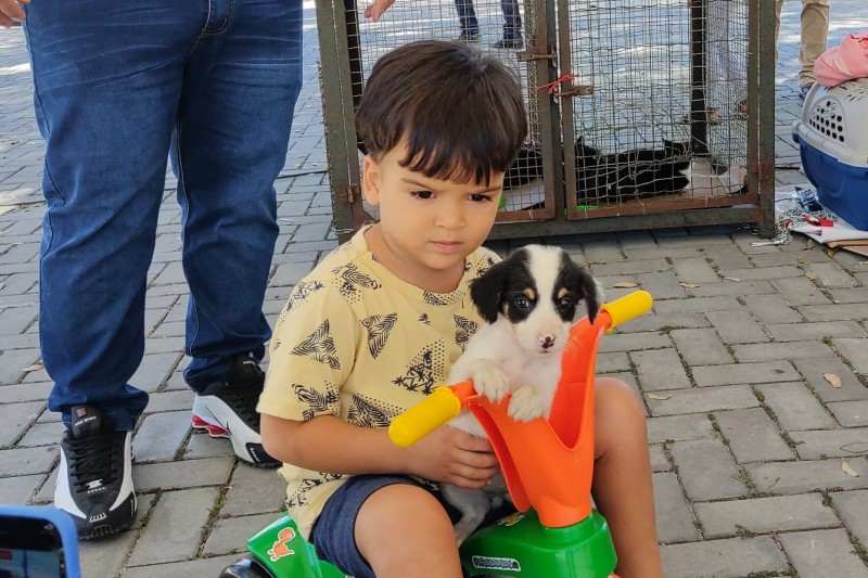 Foto: divulgação