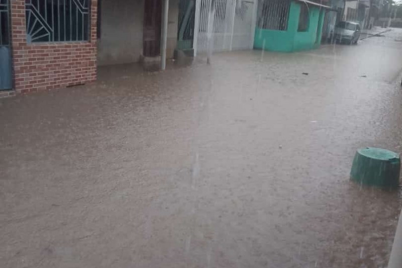 Foto: :Divulgação