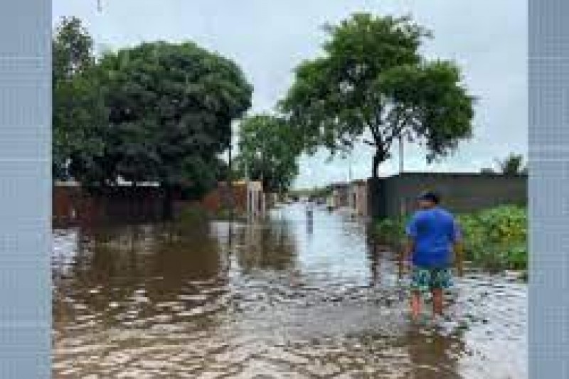 Foto: :Divulgação