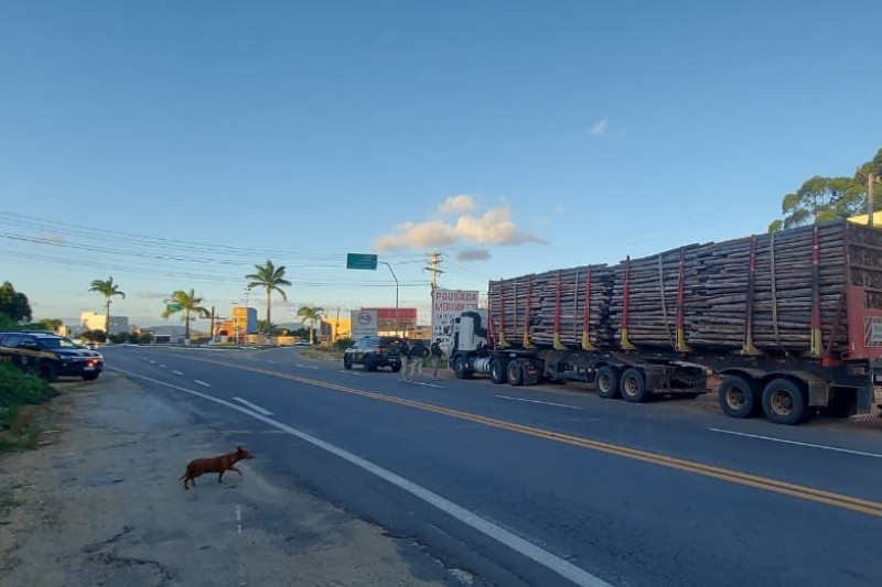 Foto: Giro de Noticias