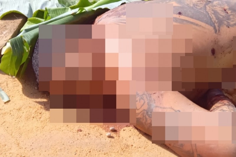 Foto: Divulgação