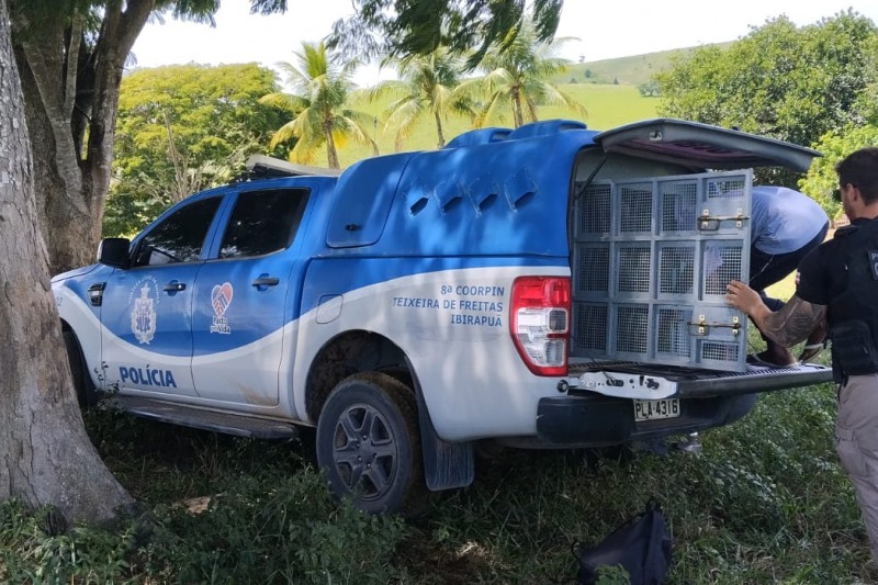 Foto: Divulgação