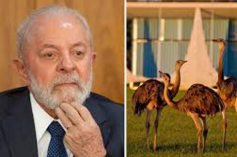 Foto: Divulgação