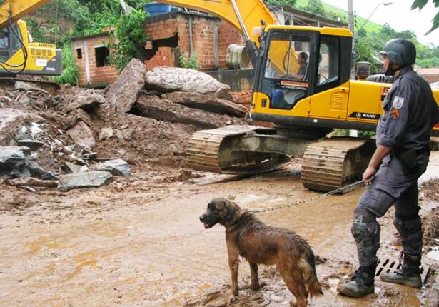 Cães farejadores também auxiliam nas buscas às vítimas (Foto: Carolina Lauriano/G1)