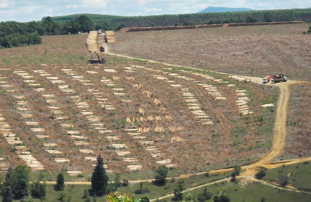 M&aacute;quinas e caminh&otilde;es trabalhando no local