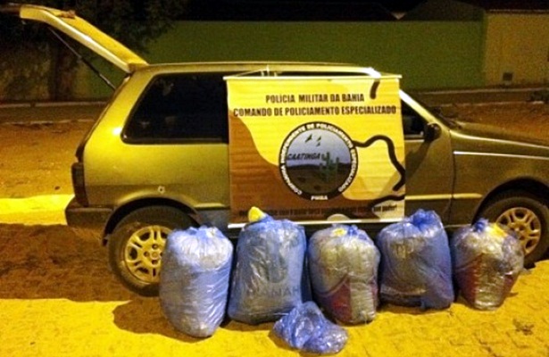 A droga estava em um veículo com placa do Piauí. Ao avistar uma viatura, o motorista fugiu